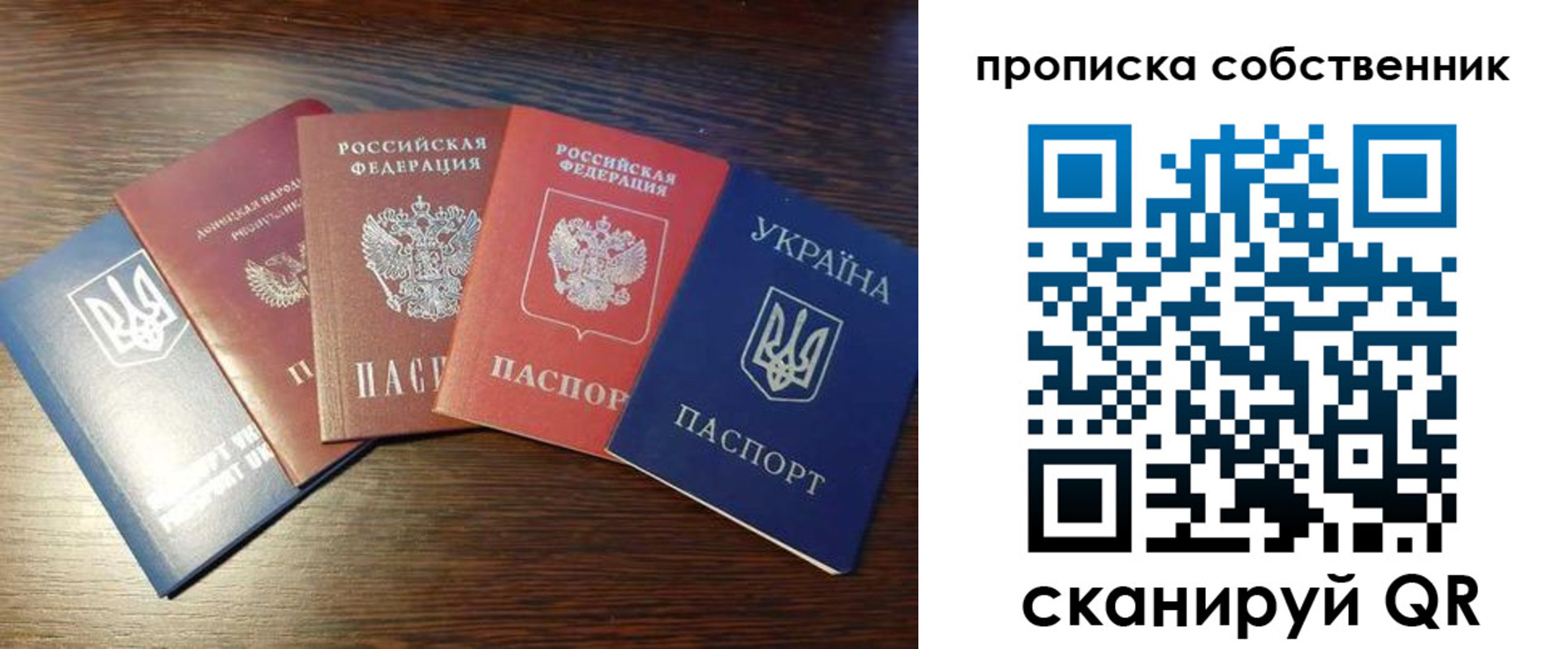 прописка гарантия в Чите
